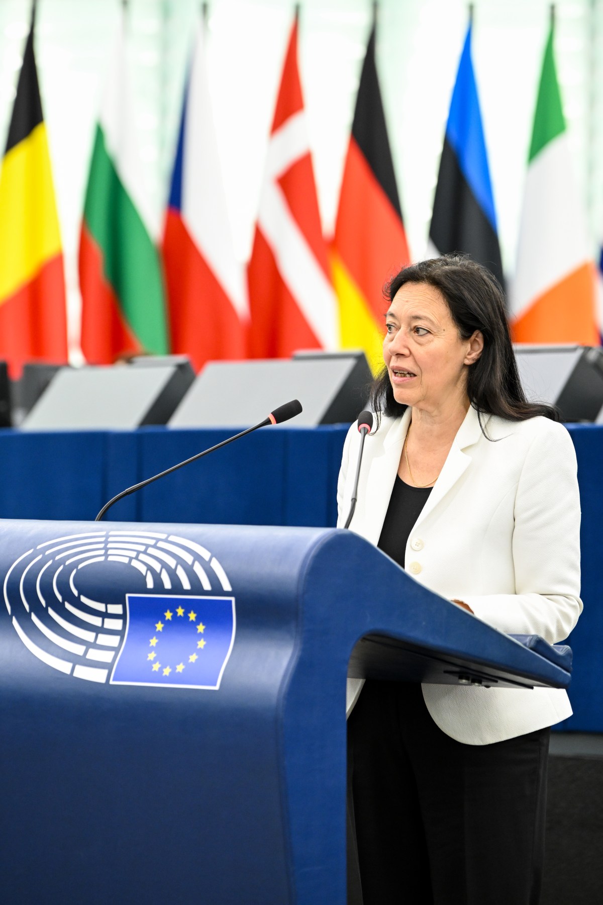 Intervention en Plénière sur la Cybersécurité et préparation de l’Union dans la perspective des systèmes d’IA avancés