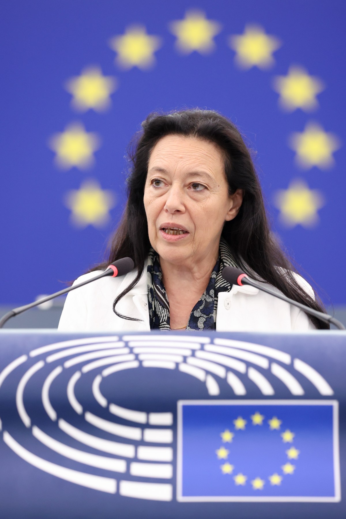 Intervention en Plénière sur le Rapport 2025 de la Commission sur la Turquie